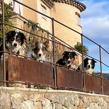 Bed and Breakfast L'Escale Du Ciel Le Bar-sur-Loup Exterior foto